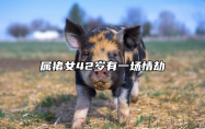 属猪女42岁有一场情劫 属猪女42岁有一场情劫怎么办