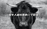 属牛人最吃香的三个职业 属牛的职业哪样好