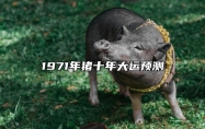 1971年猪十年大运预测 71年猪2024年未来十年的运气