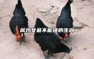 属鸡女最不能碰的生肖 属鸡女的人不能婚配的属相
