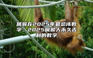 属猴在2025年最忌讳数字，2025属猴人永久吉利的数字 生肖猴2025年运势