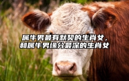 属牛男最有默契的生肖女，和属牛男缘分最深的生肖女 属牛的男生和属牛的女生合得来吗