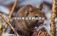 1996年出生的人命运