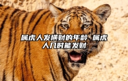 属虎人发横财的年龄 属虎人几时能发财 属虎人发财年份