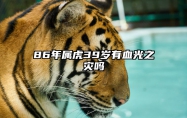 86年属虎39岁有血光之灾吗 86年虎人正缘出现年龄