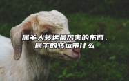 属羊人转运最厉害的东西，属羊的转运带什么 2021属羊怎样转运