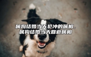 属狗结婚当天犯冲的属相，属狗结婚当天回避属相 属狗的结婚日子是冲狗好吗