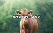 属牛最忌的三个数字 属牛的忌什么属性