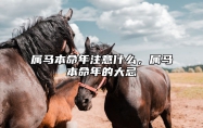 属马本命年注意什么，属马本命年的大忌 属马的本命年要注意什么