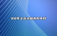 88年土龙大林木好不好 适合去哪个方向发展