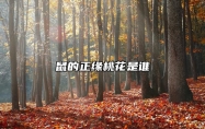 鼠的正缘桃花是谁 鼠的最佳配偶属相