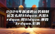 2024年属猪的运势和财运怎么样？“天煞”和“暴败”影响