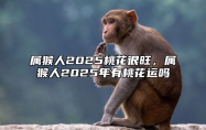 属猴人2025桃花很旺，属猴人2025年有桃花运吗 属猴的人2025年的运势及运程
