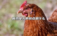 属鸡女人的弱点是什么 属鸡女人缺点