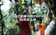 2002年属马男2024年运势怎么样 2002年属马男2024年