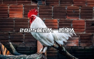 2025属鸡人一鸣惊人 2025属鸡人全年运势