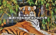 属虎1986炉中火2025年 属虎1986炉中火2025年佩戴什么