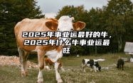 2025年事业运最好的牛，2025年什么牛事业运最旺 2025年运气最旺的三大生肖