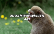 2023年清明节过生日好不好 清明节有哪些禁忌