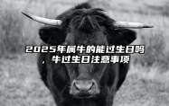 2025年属牛的能过生日吗，牛过生日注意事项 2025年生肖牛