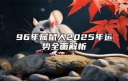 96年属鼠人2025年运势全面解析