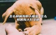 怎么和属狗的人相处 怎么和属狗人打交道 如何和属狗的男生谈恋爱