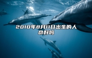 2010年8月11日出生的人命好吗 生辰八字查询