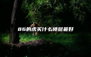 86的虎买什么楼层最好 86年虎住几楼是最旺的