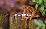 鼠生肖相冲表