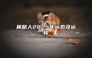 属鼠人2025年运势及运程 属鼠人2025年运势及运程每月运程