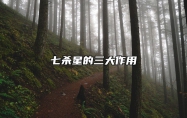七杀星的三大作用 七杀星的寓意