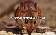 96年鼠哪年有添丁之喜 96年鼠哪年有添丁之喜的运势