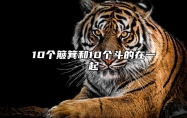 10个簸箕和10个斗的在一起 10个簸箕和10个斗婚姻