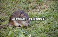 属鼠剖腹产时辰何时好 五月有哪些生子吉日
