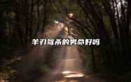 羊刃驾杀的男命好吗？