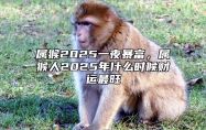 属猴2025一夜暴富，属猴人2025年什么时候财运最旺 属猴2025年运势怎么样