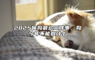 2025属狗最忌三件事，狗今年不能做什么 属狗人2025年全年运势详解
