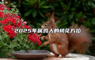 2025年属鸡人的桃花方位 2021年属鸡的桃花位在哪方位
