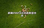 距离2023元旦还有多少天 元旦会很冷吗