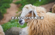 羊人见2025年有三喜 今年属羊的运势怎么样2025