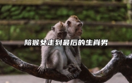 陪猴女走到最后的生肖男 猴女匹配的生肖