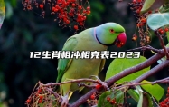 12生肖相冲相克表2023 12生肖相冲相克表三和