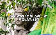 5两1钱是什么命,五两一钱男命女命详解