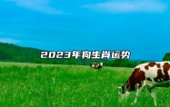 2023年狗生肖运势 事业运势相当上佳
