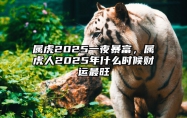 属虎2025一夜暴富，属虎人2025年什么时候财运最旺 生肖虎2025年运势及运程
