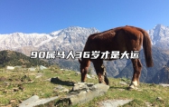 90属马人36岁才是大运 今年属马的人几岁了