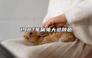 1987年属兔大忌颜色 87年炉中火靠什么发财