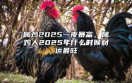 属鸡2025一夜暴富，属鸡人2025年什么时候财运最旺 生肖鸡2025年运势