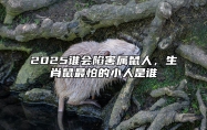 2025谁会陷害属鼠人，生肖鼠最怕的小人是谁 属鼠的人最怕什么动物