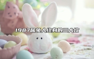 1987属兔人终身的三大坎 87年属兔38岁有一灾